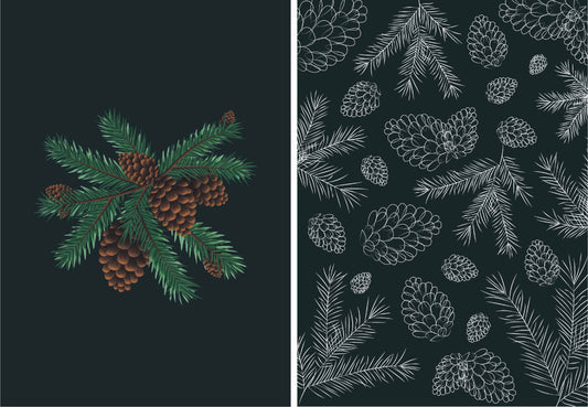 Conus Ferre - Ensemble de 2